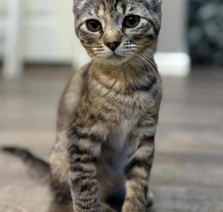 Photo of Raven C Grace