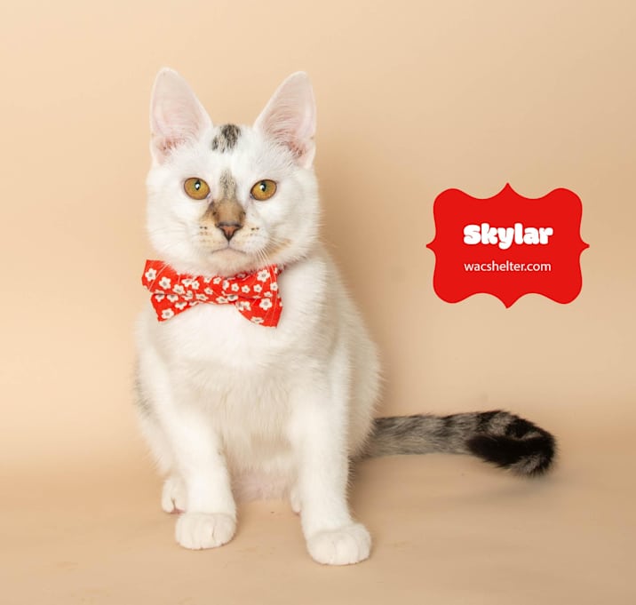 Photo of SKYLAR (so sweet)