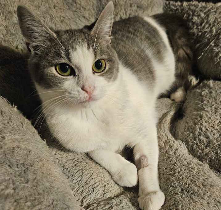 Photo of Mrs. Bailey