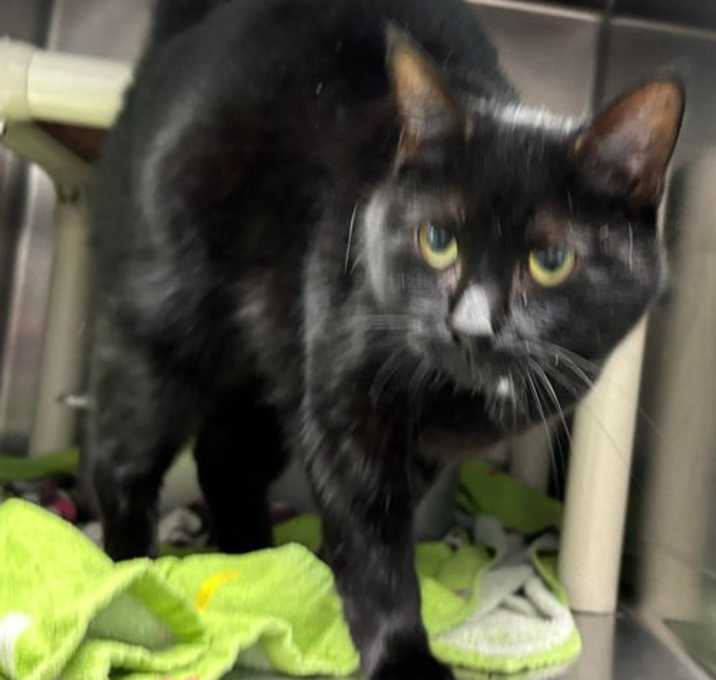 Photo of Spot - At shelter