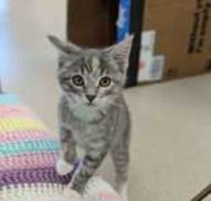 Photo of Marcia - MVP