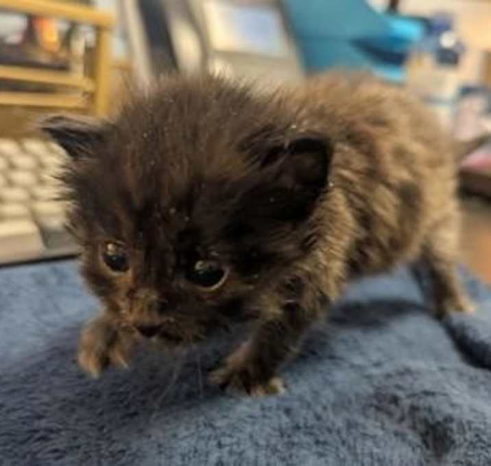 Photo of Eulogy - IN FOSTER