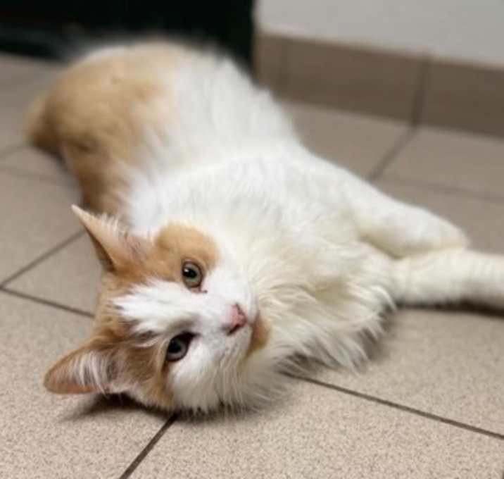 Photo of Mr. Twister