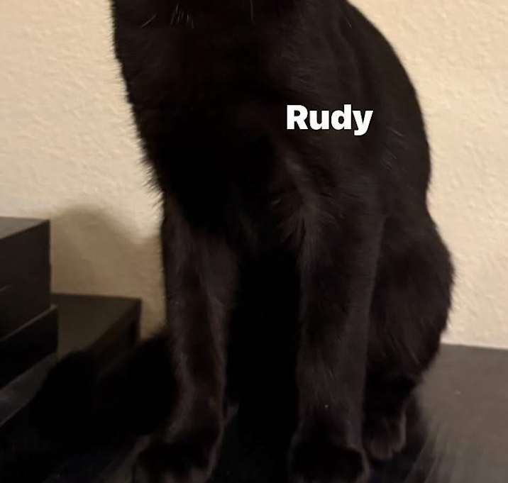 Photo of Rudy