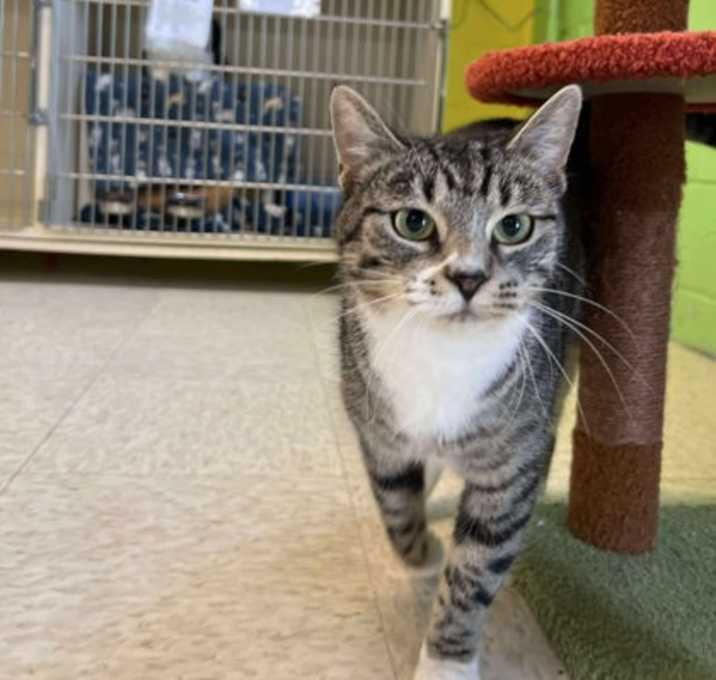 Photo of Tuna Turner