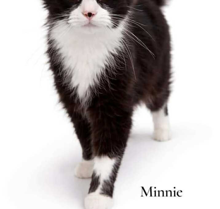 Photo of Minnie