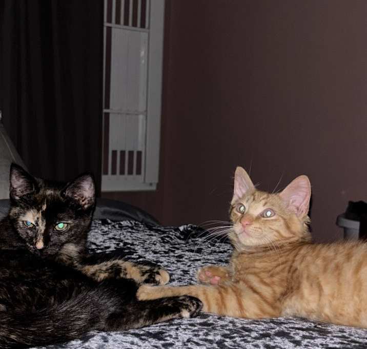 Photo of Kaleesi & Drogo