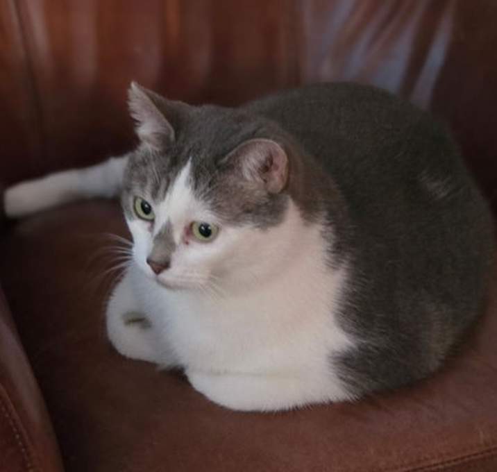 Photo of Rosie Jones