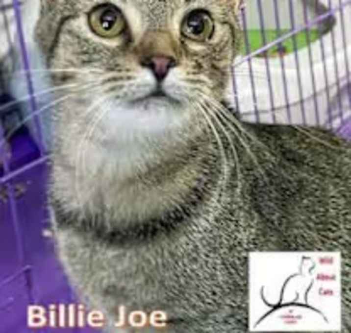 Photo of Billy Jo