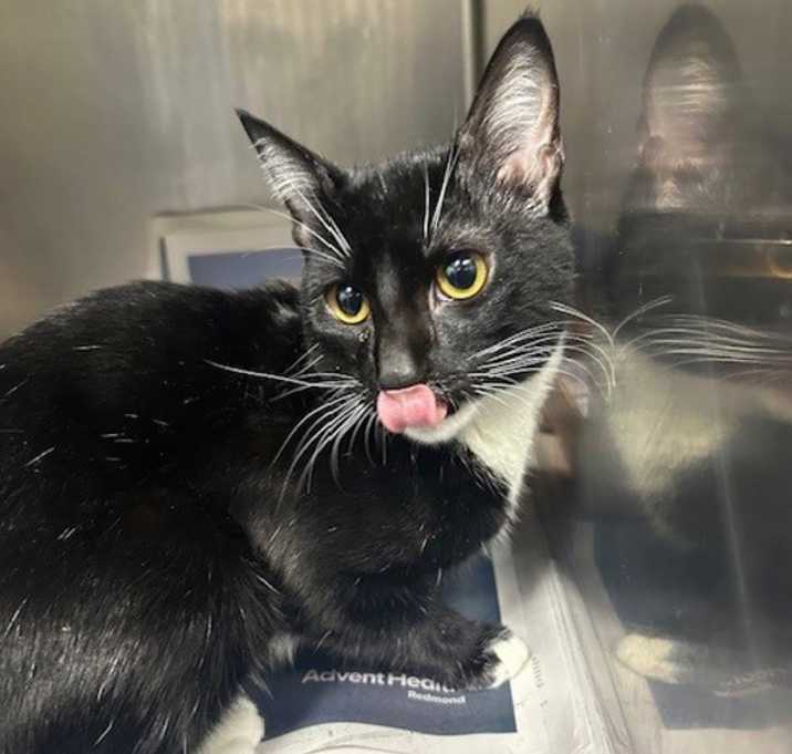 Photo of 25-12-3727 Frank