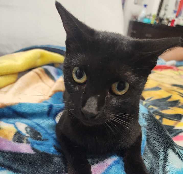 Photo of Yenia(Mall of NH)