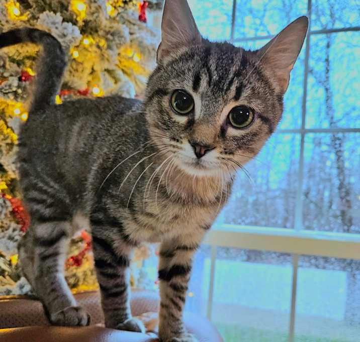 Photo of 1125-62 Fred