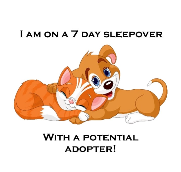 Photo of Prue C25-311