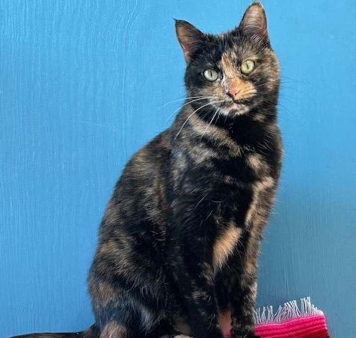 Photo of Victoria (aka Iris)