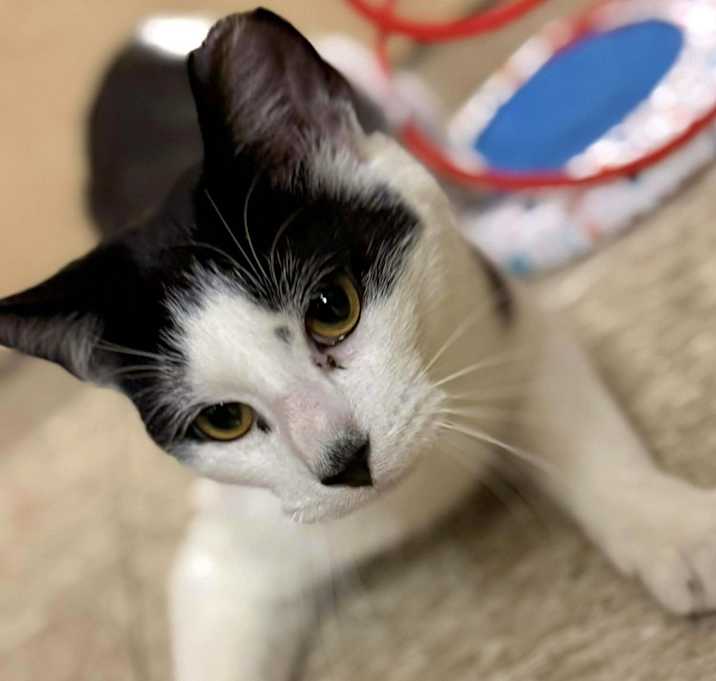 Photo of Stewart (Salt)