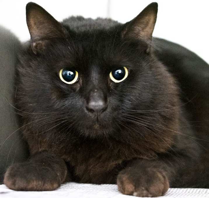 Photo of River #21559