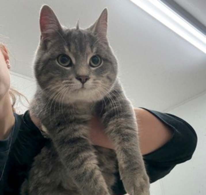 Photo of Gwen Stefani