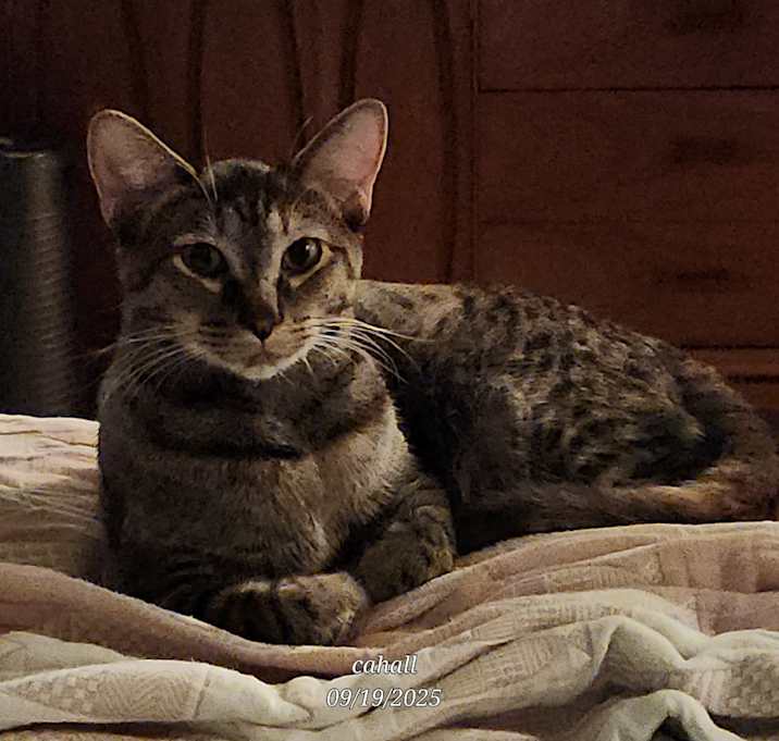 Photo of Kiri Te Kanawa-DH