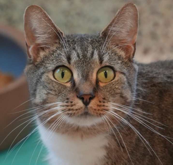 Photo of Grace 57745