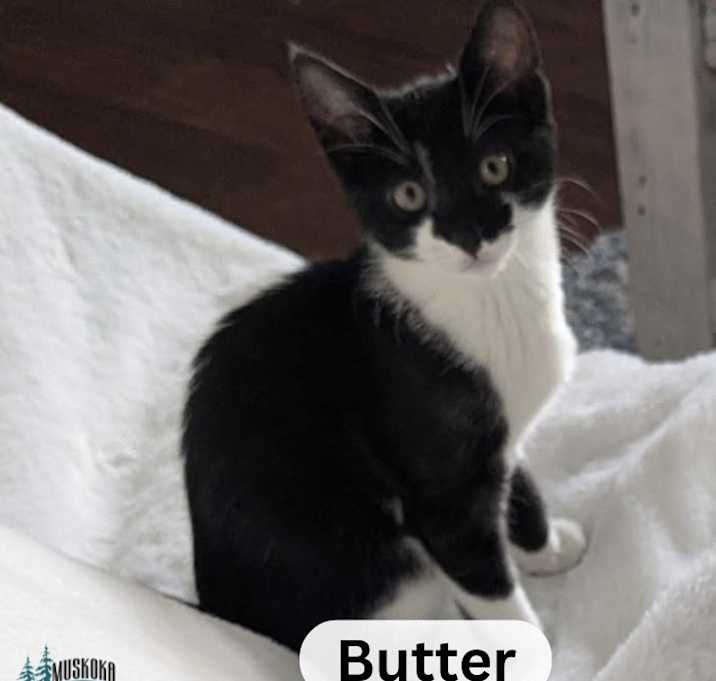 Photo of Butter!