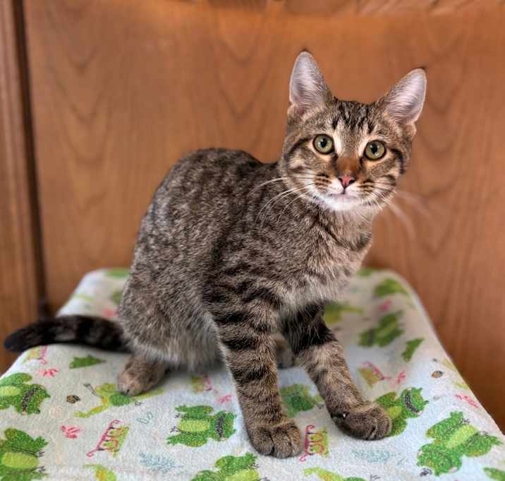 Photo of Warhol--In Foster