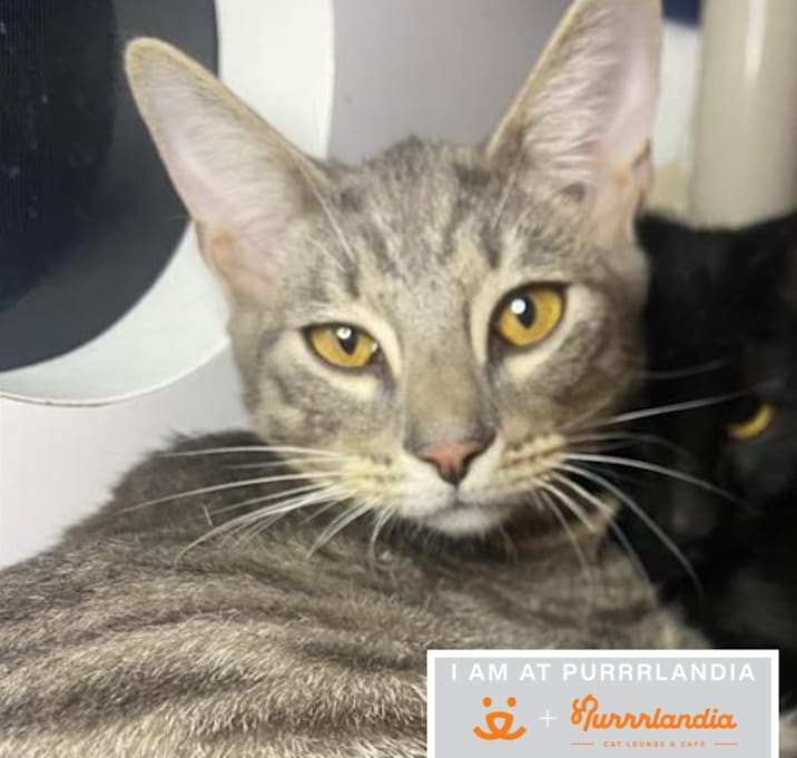 Photo of Nathan Explosion