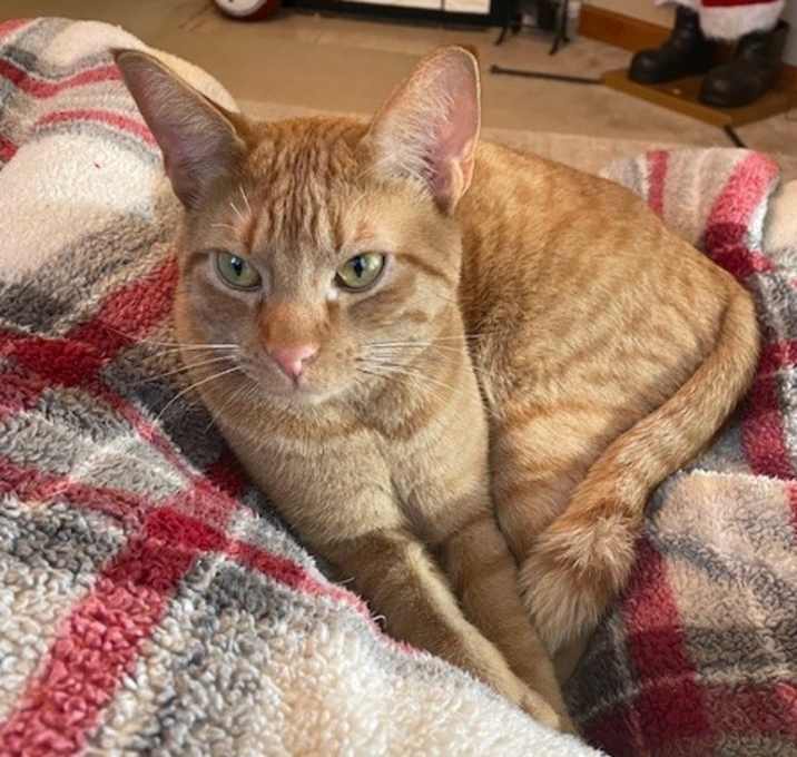 Photo of Flip and Hyzer