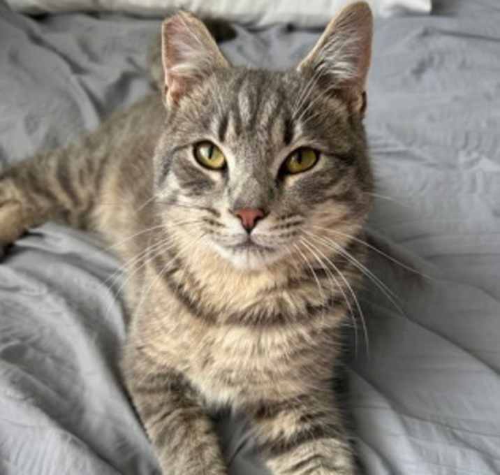 Photo of Build A Bear