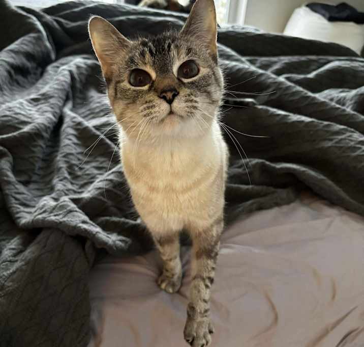 Photo of Elsa (aka Pretty Girl)