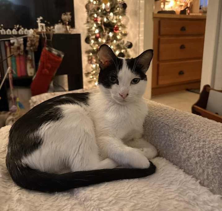 Photo of Mama Ruby Dennison