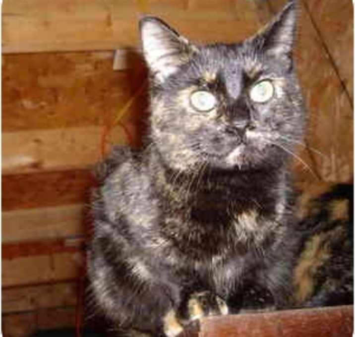Photo of Louise