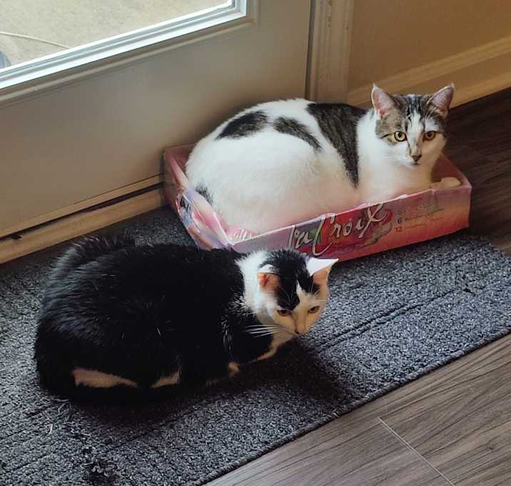 Photo of Duke and Darla