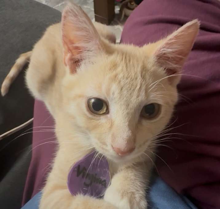 Photo of Virginia Hall **