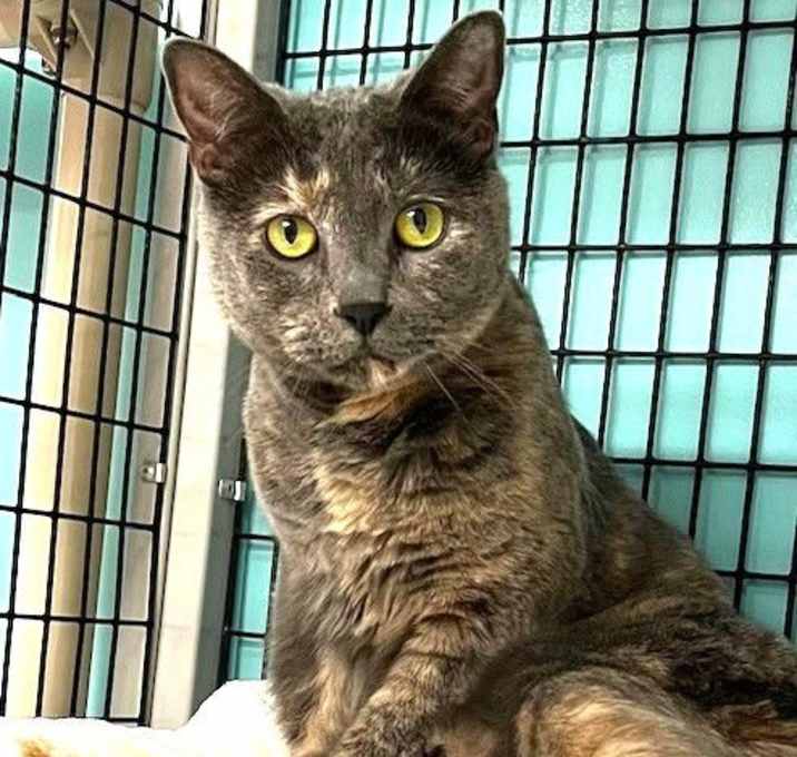 Photo of Stella Rose