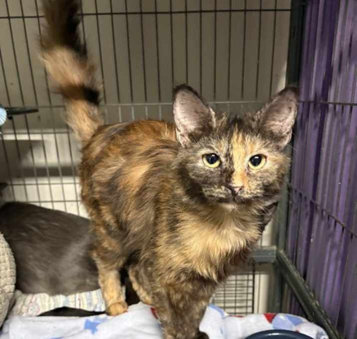 Photo of Duffy    (th)