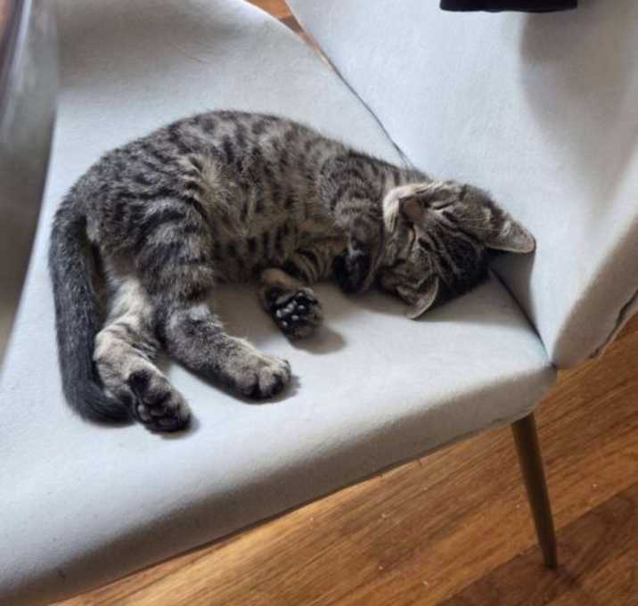 Photo of Private Ryan