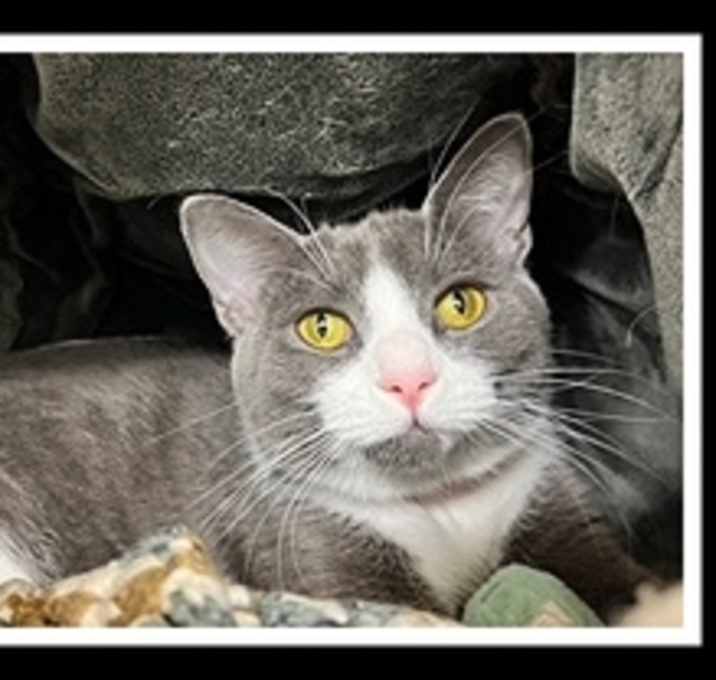 Photo of GLITTER GLAM