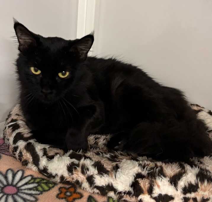 Photo of Mama Flurry