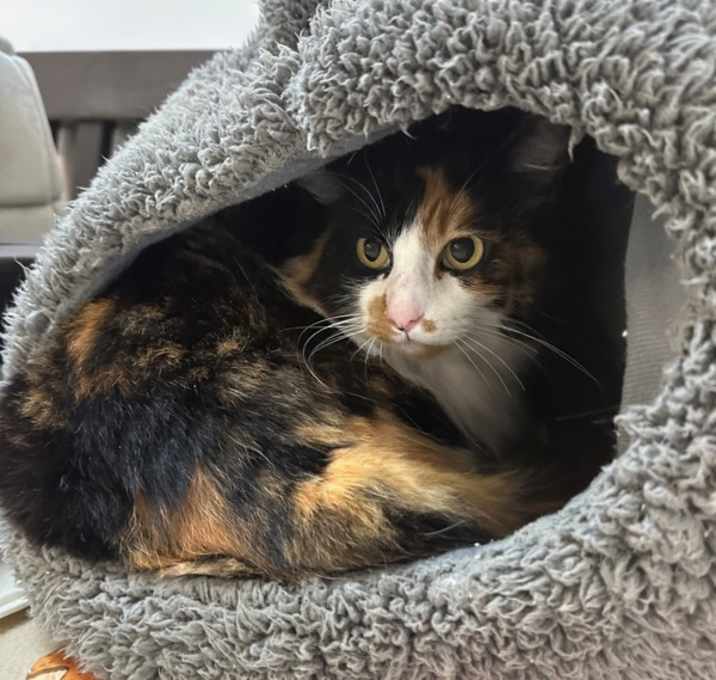 Photo of Sweater Weather