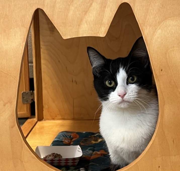 Photo of Minoto - Bonded W/ Hinoa