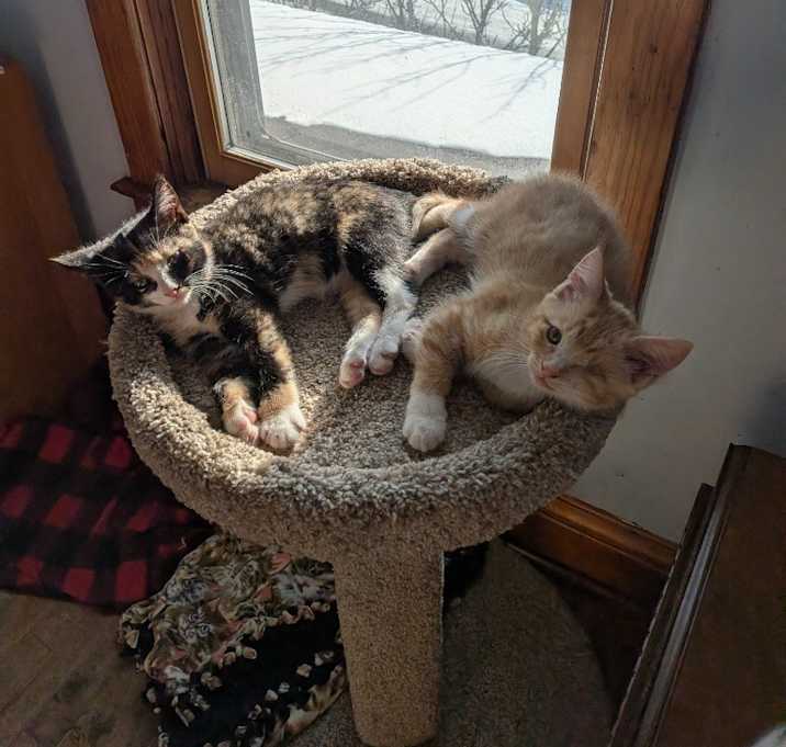 Photo of Maxine / Willy