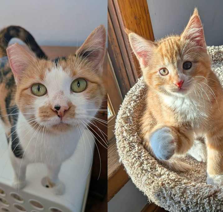 Photo of Suzy Q / Milton