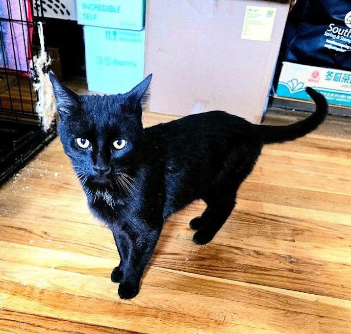 Photo of Dark Knight