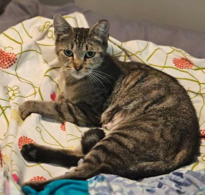 Photo of Selena *COURTESY POSTING*