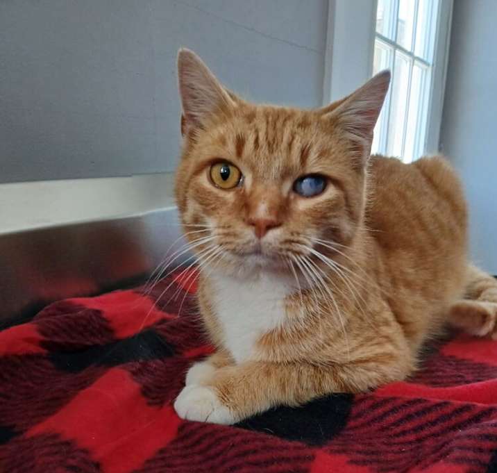 Photo of Squinton Tarantino