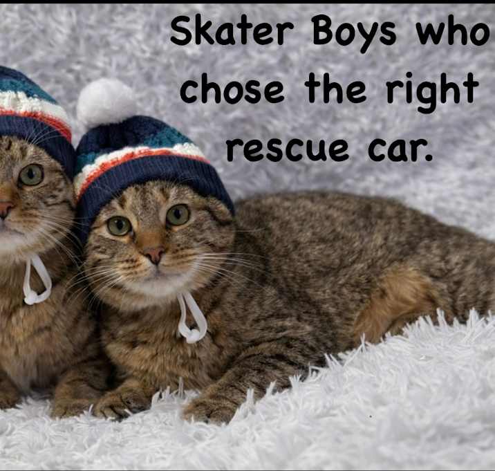 Photo of Huey and Dewey 💙