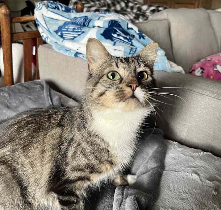 Photo of Lucky Charm