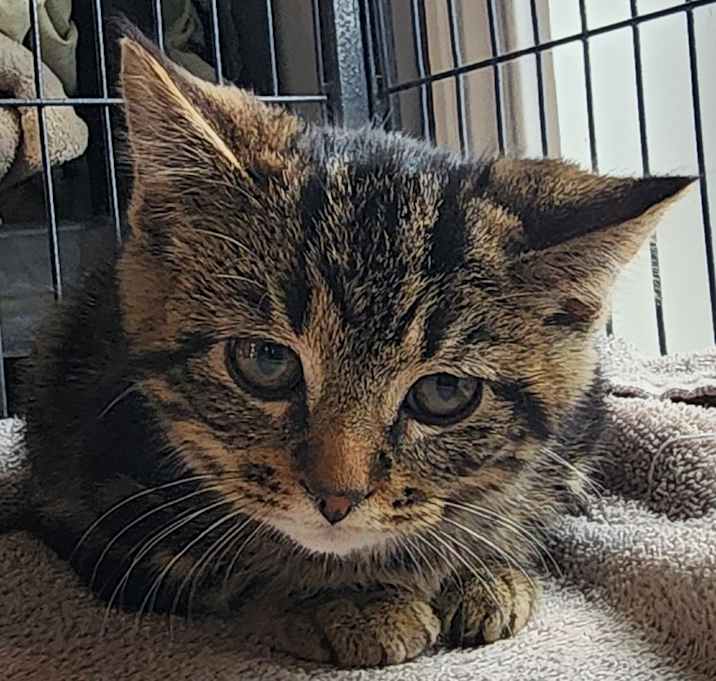 Photo of Steve Johnson