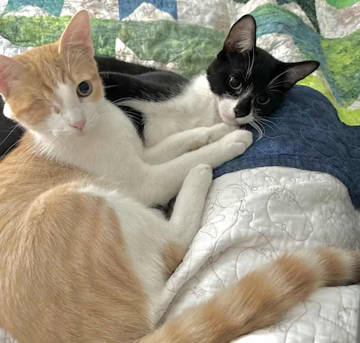 Photo of Jack and Sammy