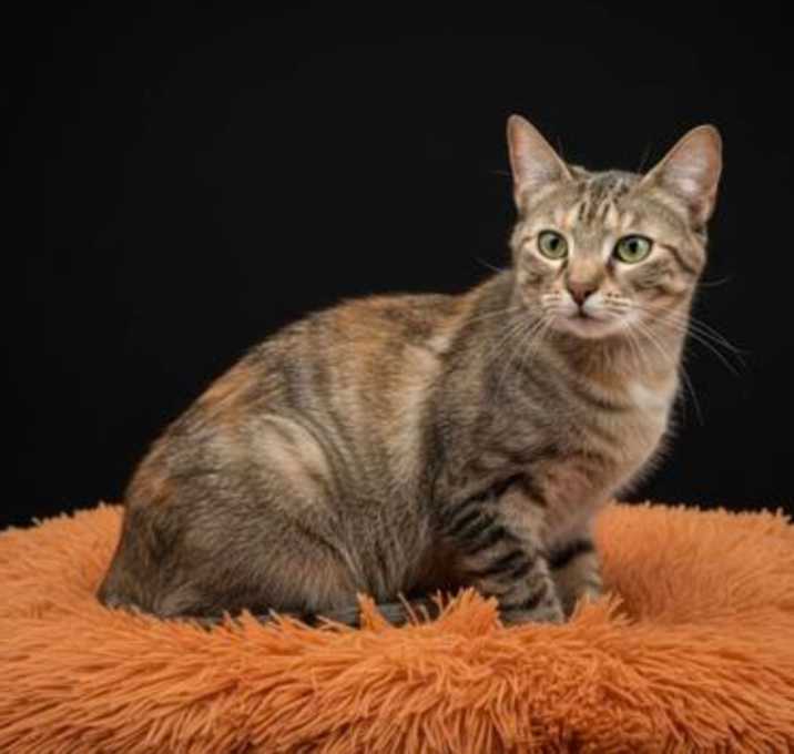 Photo of Ray (Bonded w/ Pheona)